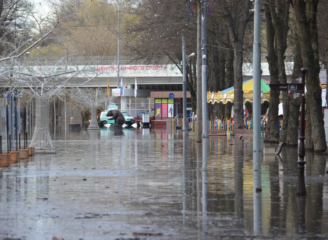 За сутки Ока в Рязани поднялась на 20 см | ya62.ru
