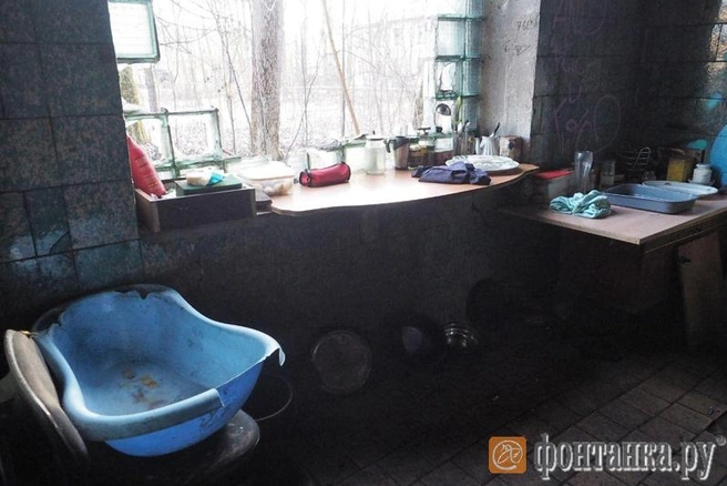 Источник: автор фото Михаил Огнев/«Фонтанка.ру»