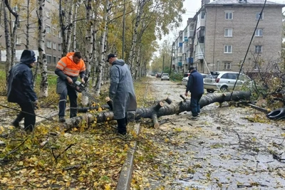 В Хабаровском крае ликвидируют последствия тайфуна Джеби