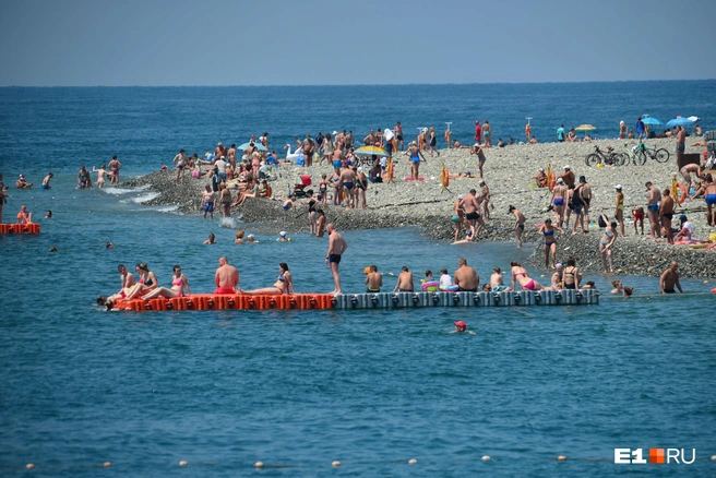 Вода в Черном море летом прогревается до +24... +26 °C | Источник: Артём Устюжанин / E1.RU