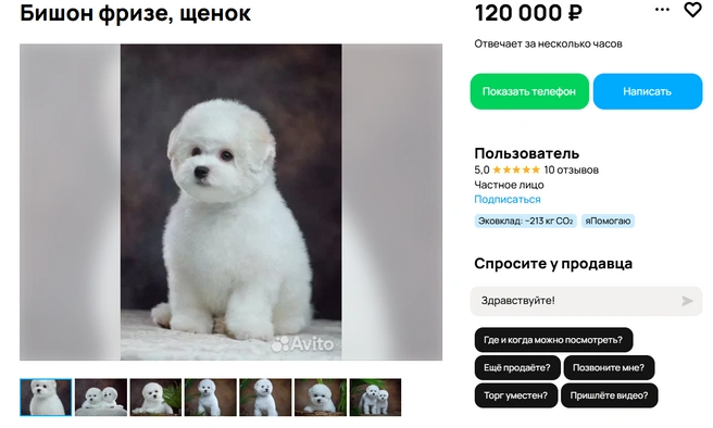 Перечислять его достоинства можно бесконечно | Источник: Авито