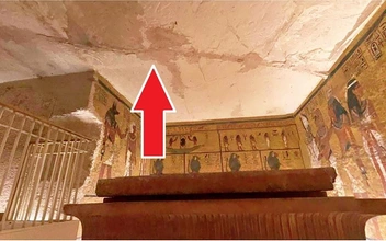 У вас тут грибок завелся: археологи заявили, что гробница Тутанхамона разрушается, но чиновники им не поверили