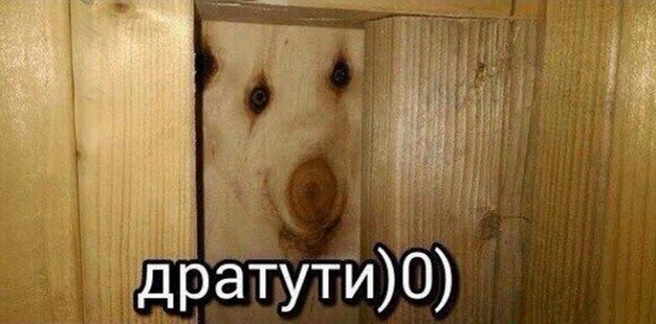 Мем «Дратути» с «лицом» на листе фанеры родом из 2016-го | Источник: Vk.com