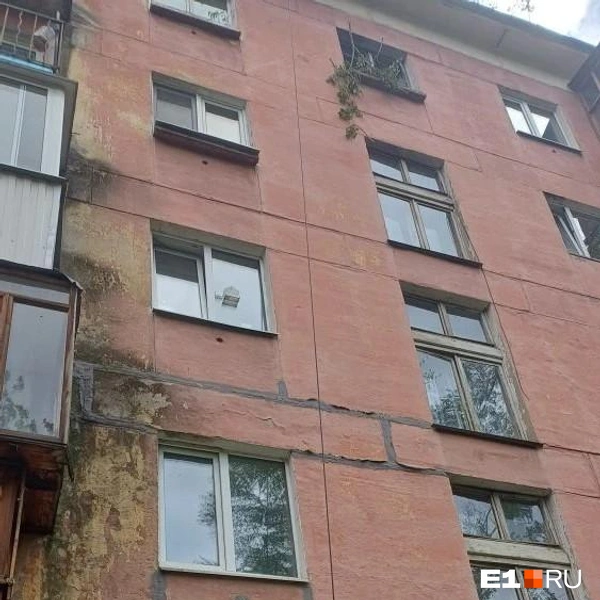 Источник: читательница E1.RU