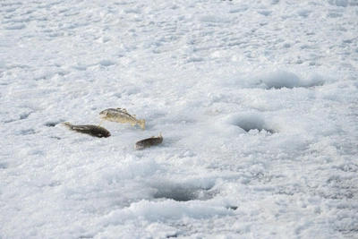 Машина рыбаков ушла под лед на Красноярском море