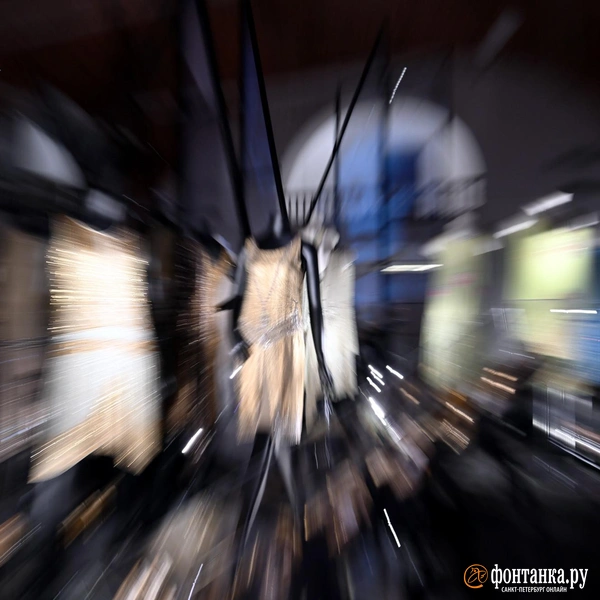 Источник: Илья Снопченко / «Фонтанка.ру»