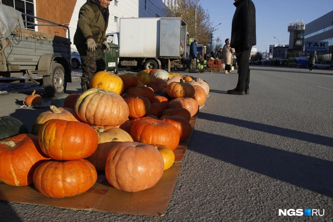 На ярмарку привезли свежий урожай | Источник: Стас Соколов / NGS.RU