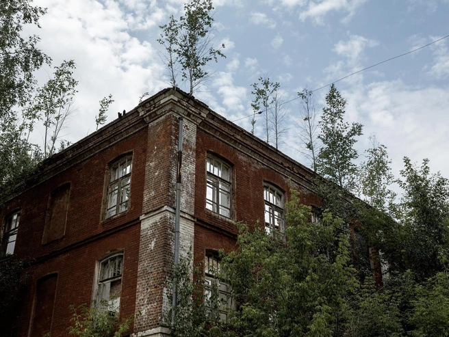 Деревья буквально растут прямо из стен заброшенных зданий | Источник: Александр Куренной / 76.RU