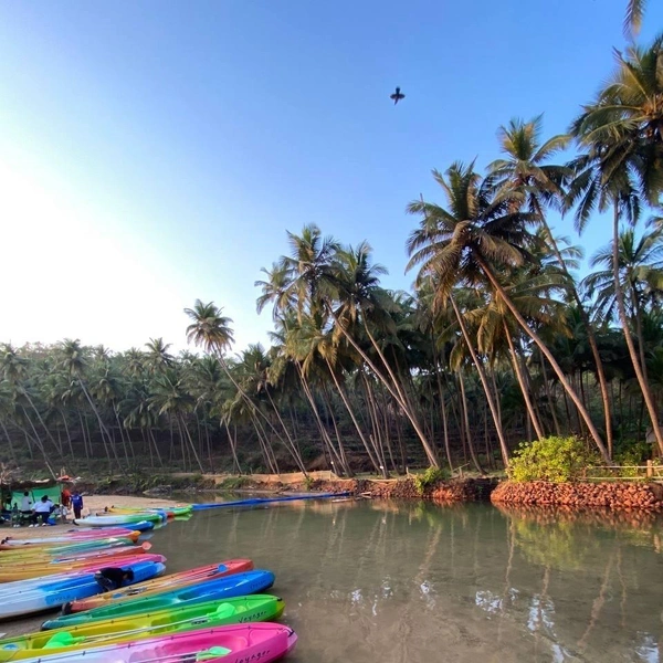 Источник: Софья Золотухина