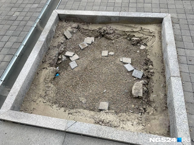 Места для будущего дерева почти нет, ни сбоку, ни снизу | Источник: Дмитрий Мамаев / NGS24.RU