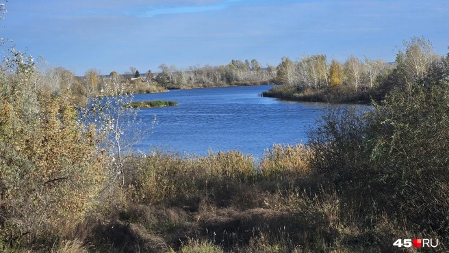 Река Тобол | Источник: Дарья Никитченко / 45.RU