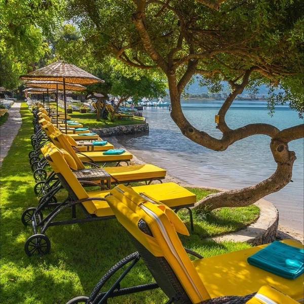 Suncity Beach Club | Источник: пресс-служба