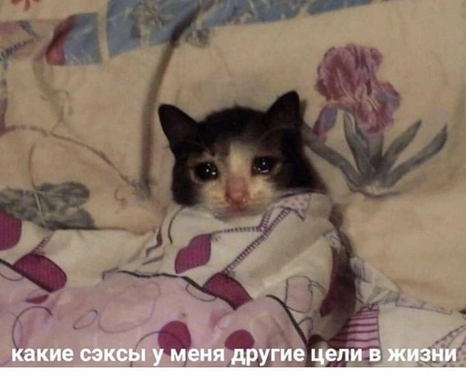 Сегодня празднуется международный день оргазма  | Источник: Кукуруза \ T.me 