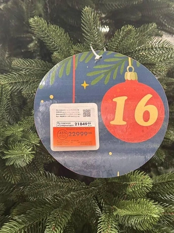 Она стоит почти 23 тысячи рублей | Источник: Дарья Гранкина / 26.RU