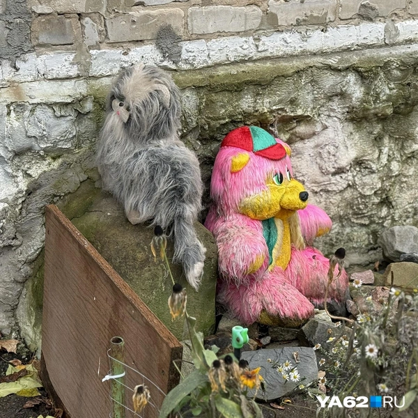 По некоторым игрушкам видно, что они стоят достаточно долгое время | Источник: Сергей Петунин / YA62.RU