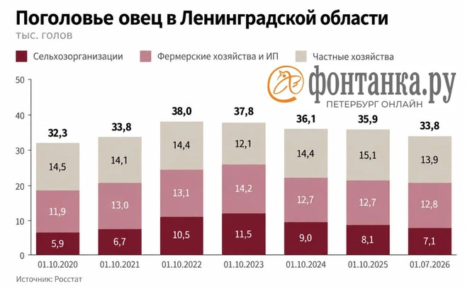 Поголовье овец в Ленобласти&nbsp;— официальные цифры | Источник: Росстат, Фонтанка.ру.