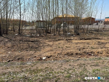 «Мешки с мусором и труп собаки». Пейзажи вдоль Романовского тракта в Чите не радуют горожан | Источник: очевидец