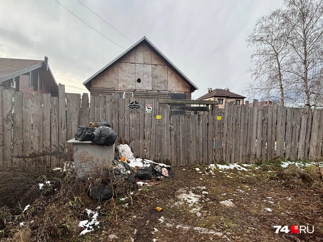 Забор дома, где живут волкособы, совсем не внушает доверия  | Источник: Дарья Дубровских 