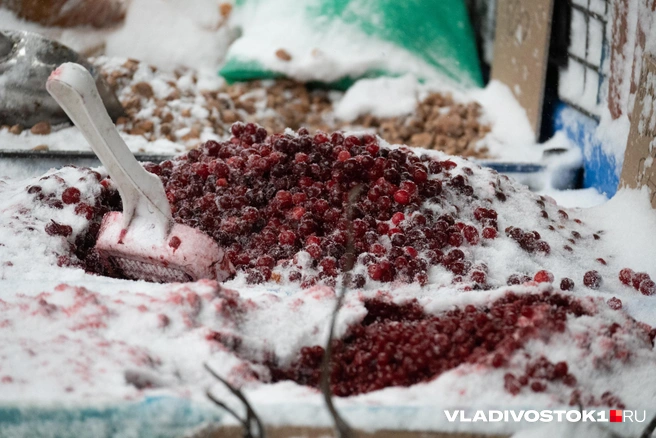 Эксперты рекомендуют использовать саму ягоду или натуральный сок | Источник: Елена Буйвол / VLADIVOSTOK1.RU