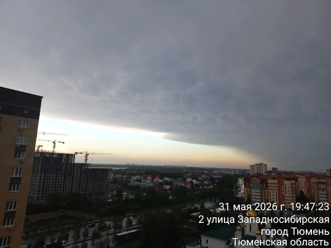 Еще один снимок с Лесобазы  | Источник: Олег Евграфов 