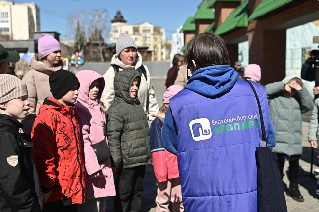 Ребята играли, отвечали на вопросы и узнавали много нового о больших кошках | Источник: Максим Воробьев