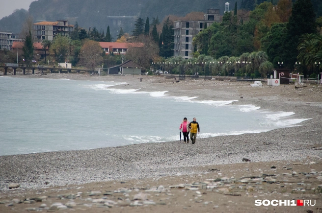 Ищем зиму? Ее здесь нет. Вместо сугробов — пальмы, вместо мороза — мягкий морской воздух. Так выглядит декабрь в Гагре | Источник: Оксана Витяpь / SOCHI1.RU