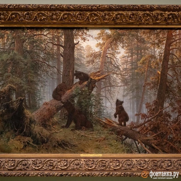 Источник: Андрей Бок / FONTANKA.RU