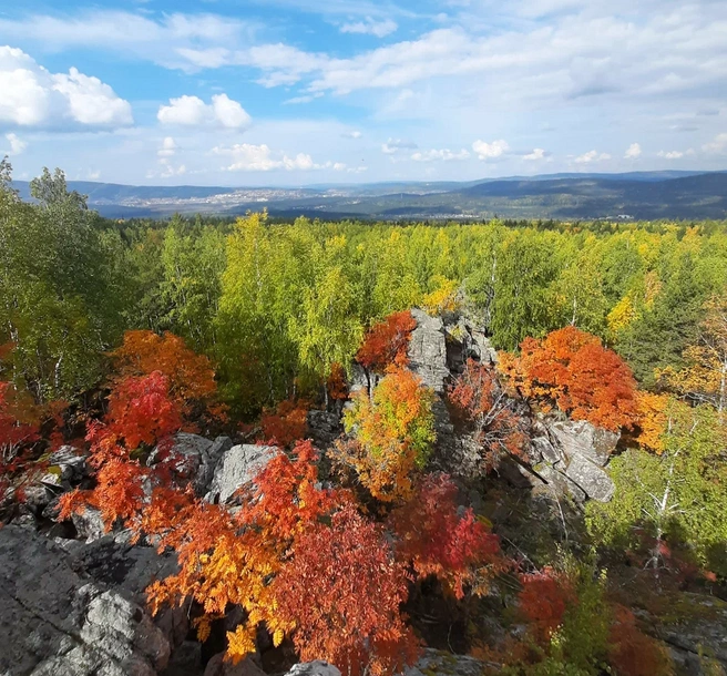 Осень на Семибратке | Источник: yandex.ru/maps