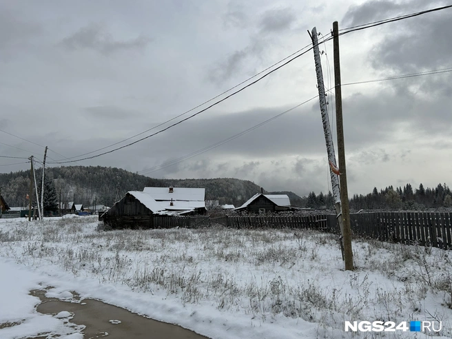 В Партизанском районе  | Источник: Алексей Тайганавт / NGS24.RU