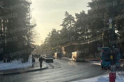 В Сестрорецке у больницы работают саперы, движение перекрыто