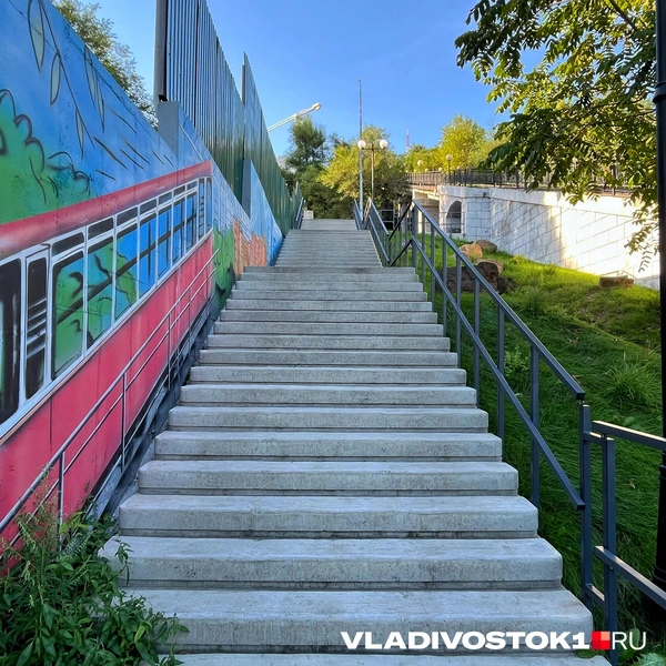 Источник: Алиса Князева / VLADIVOSTOK1.RU