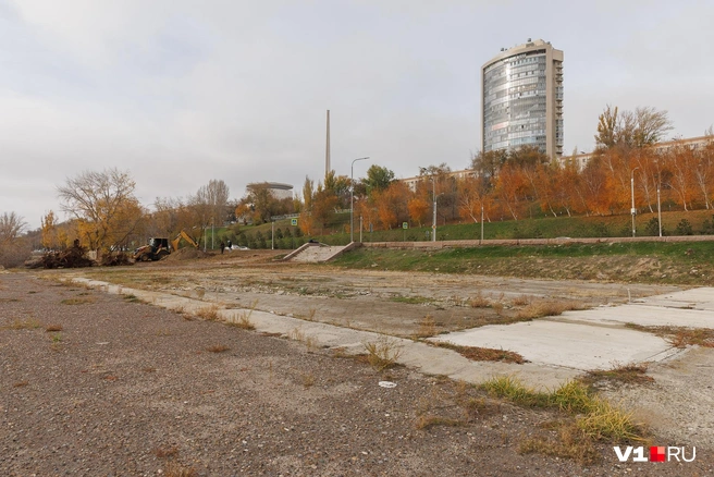 Здесь, по словам работников, в предстоящем году начнут возводить памп-трек | Источник: Алексей Волхонский / V1.RU