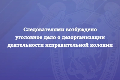 Возбуждено дело о нападении на сотрудника колонии