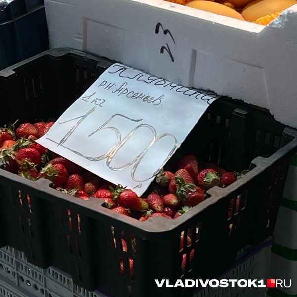 Источник: Елена Буйвол / VLADIVOSTOK1.RU