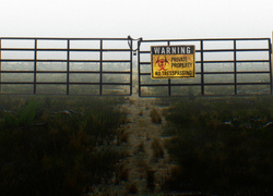 Проклятое ранчо Скинуокер: тайны и загадки одного из самых пугающих и жутких мест на планете