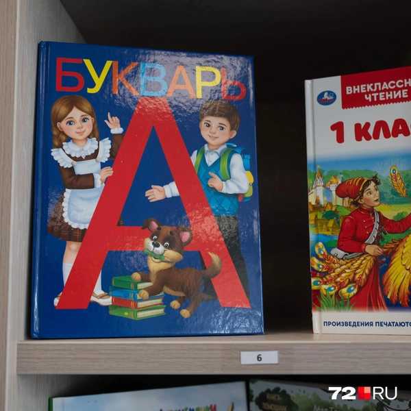 Источник: Илья Чикотин / 72.RU