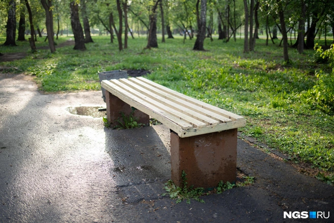 Сейчас парк — популярное место для прогулок | Источник: Алина Скитович / NGS.RU