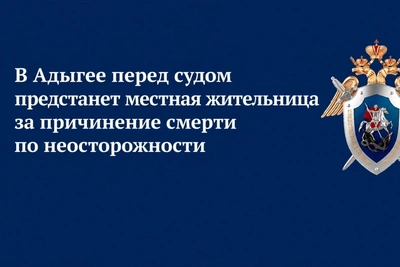 Суд в Адыгее рассмотрит дело о гибели пенсионерки из-за примата