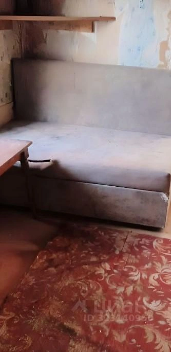 В жилье есть диван и важный атрибут подобных вариантов для проживания — советский ковёр | Источник: novosibirsk.cian.ru