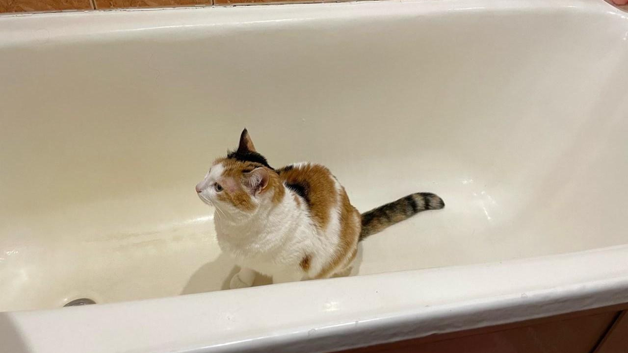 В трех районах Перми в ближайшие две недели отключат холодную воду: список домов
