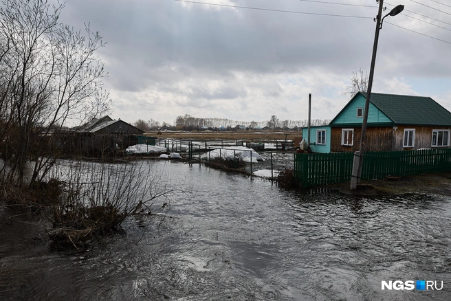 По последним данным МЧС, зафиксировано подтопление четырех жилых домов и шести приусадебных участков в Краснозерском и Чулымском районах | Источник: Александр Ощепков / NGS.RU