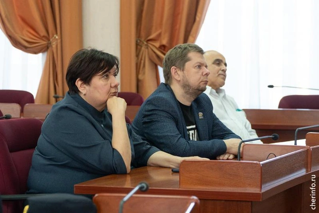 Источник: st.cherinfo.ru