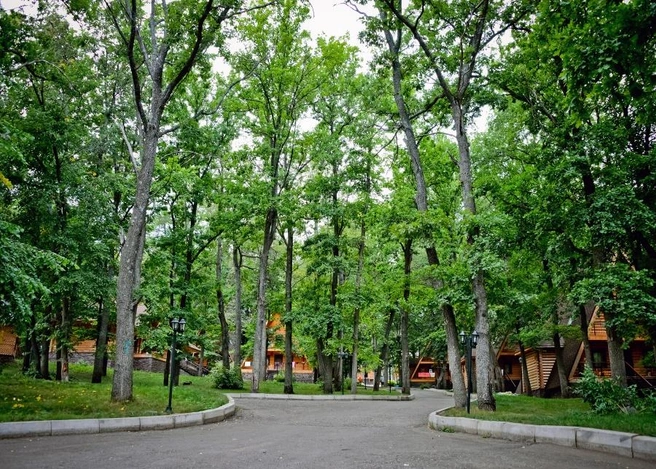 Источник: Lesnaya-skazka.com