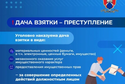 14 коррупционных фактов со стороны водителей в Новгородской области