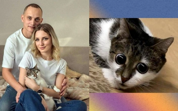 Пучеглазое чудо: кто такой кот Фикс и почему от него в восторге все соцсети