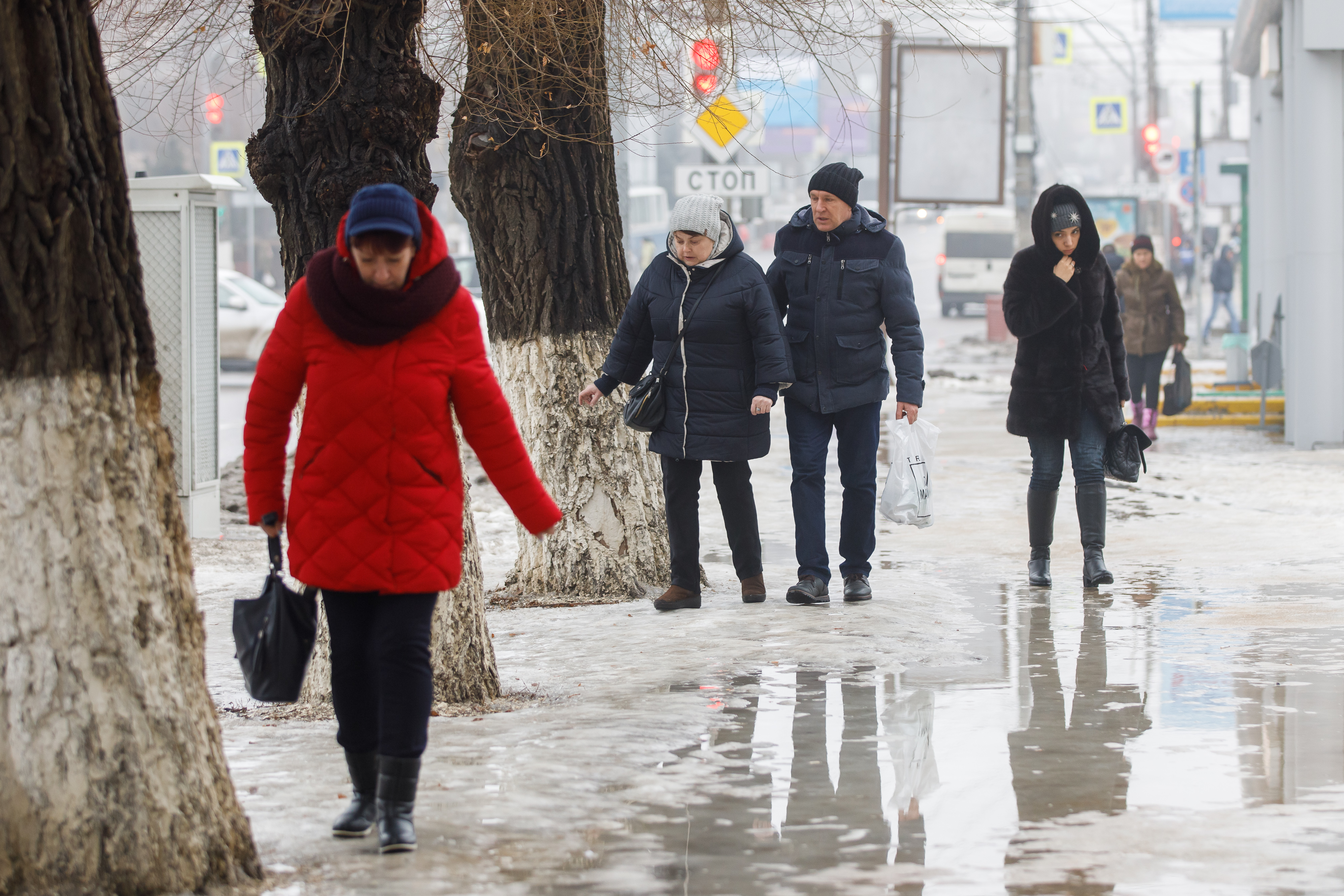 На Волгоградскую область надвигается резкое потепление. Столбики термометра поднимутся до +12