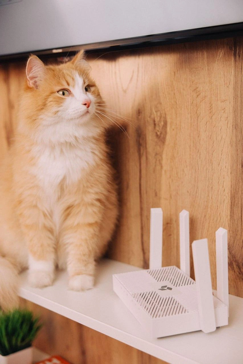 Обновление роутера — это инвестиция в стабильный Wi-Fi для всех гаджетов и гарантия получения скорости, за которую вы платите | Источник: Goodline