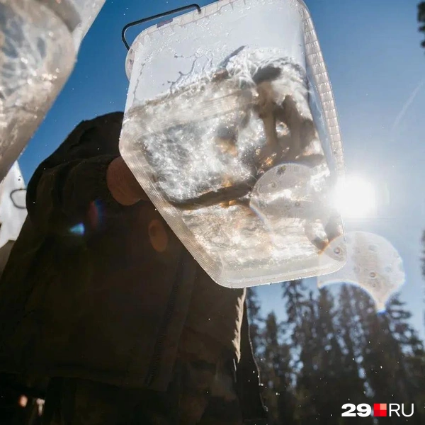 Источник: Иван Митюшёв / 29.RU