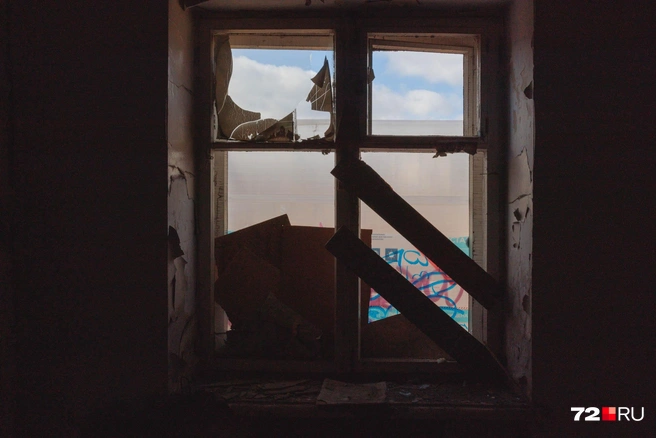 Источник: Ирина Шарова / 72.RU