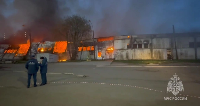 Сильный пожар под Петербургом: мебельное производство загорелось на 400 кв. м | Источник: кадр из видео ГУ МЧС по Ленобласти